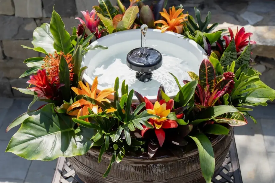 Solar Fountain Ideas | Relaxing Garden Water Features | Outdoor Decor Projects