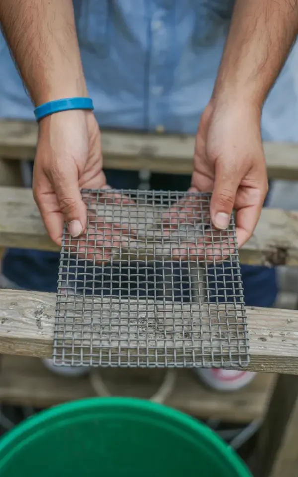 The #1 Mistake When Attaching Wire Mesh to Wood