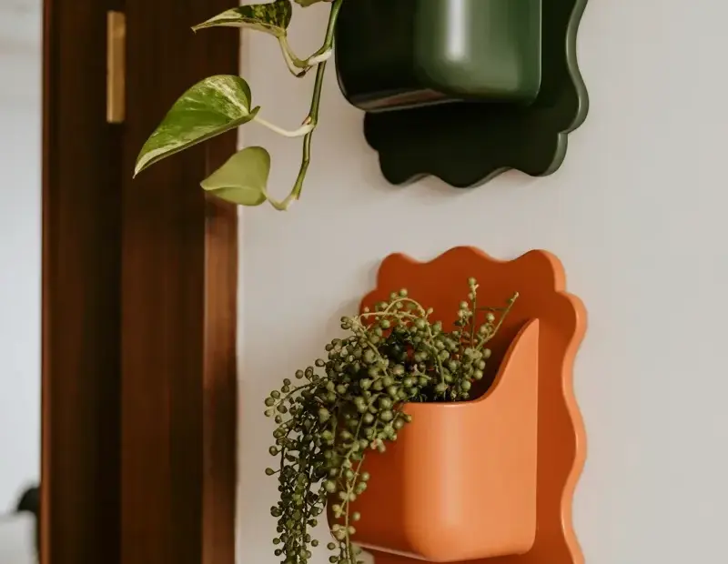 Trailing Plant Wall Decor With Terracotta Planters – Easy Pothos & String of Hearts