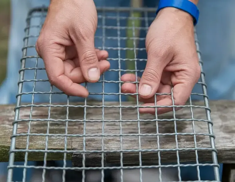 Avoid This Hardware Cloth Mistake When Building a Chicken Coop